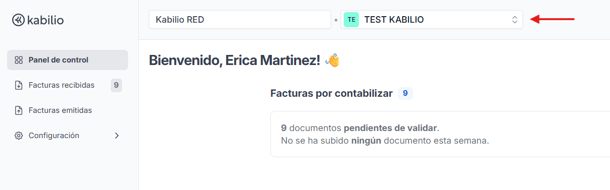 Empresa seleccionada